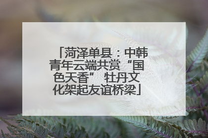 菏泽单县：中韩青年云端共赏“国色天香” 牡丹文化架起友谊桥梁